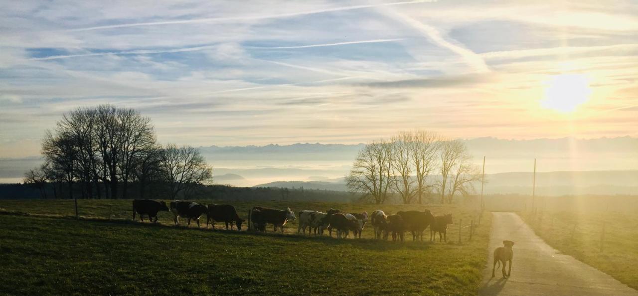 La Ferme De La Praz B&B Екстер'єр фото