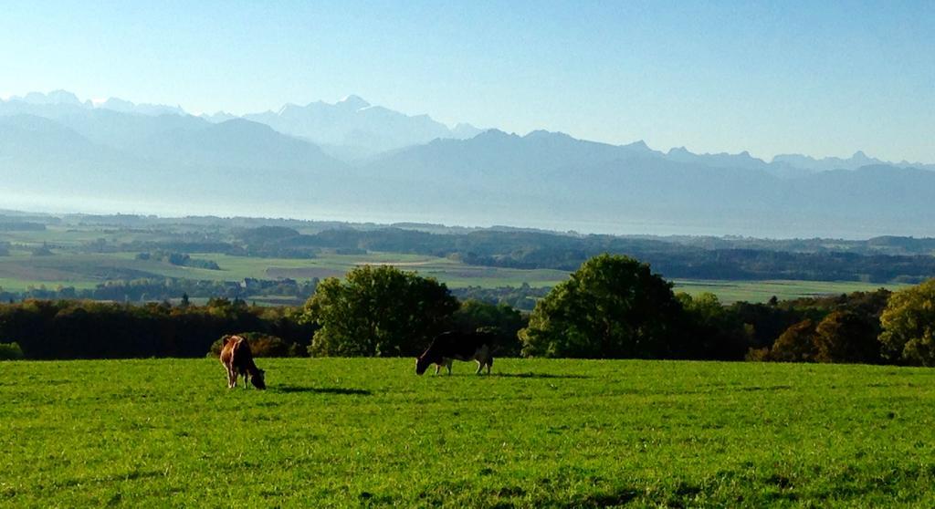 La Ferme De La Praz B&B Екстер'єр фото