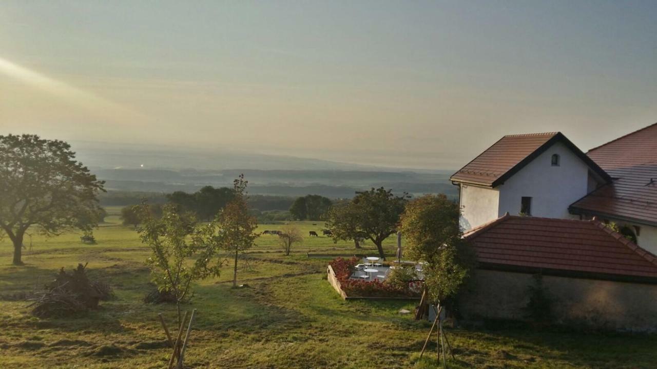 La Ferme De La Praz B&B Екстер'єр фото