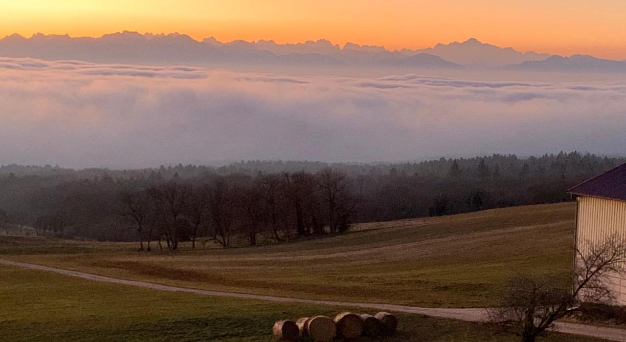 La Ferme De La Praz B&B Екстер'єр фото